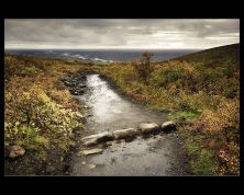 the refreshing road back home.jpg
